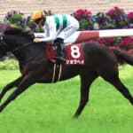 【大阪杯2026】ショウヘイは川田将雅騎手とのコンビ継続で春の大一番へ