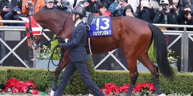 【きさらぎ賞2026予想】雪の影響残る馬場なら狙い目はこの馬！札幌2歳S勝ちのショウナンガルフ