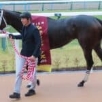 【JRAフェブラリーS2026】女王ダブルハートボンドのプラス要素と懸念点を分析