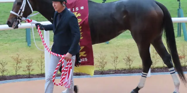 【JRAフェブラリーS2026】女王ダブルハートボンドのプラス要素と懸念点を分析