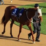 【東京新聞杯2026予想】末脚上位のウォーターリヒト、連覇へ視界良好！