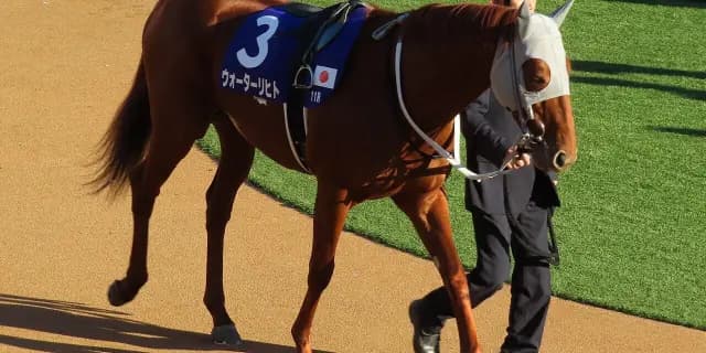 【東京新聞杯2026予想】末脚上位のウォーターリヒト、連覇へ視界良好！