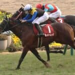 【京都記念2026予想】舞台巧者のヨーホーレイク、連覇へ向けた条件揃う