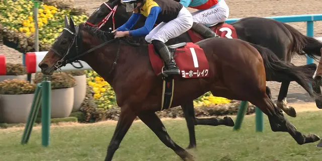 【京都記念2026予想】舞台巧者のヨーホーレイク、連覇へ向けた条件揃う