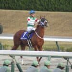 【ダイオライト記念2026予想】セラフィックコールの3連覇に挑戦する有力馬3頭を分析