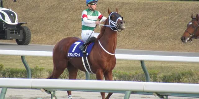 【ダイオライト記念2026予想】セラフィックコールの3連覇に挑戦する有力馬3頭を分析