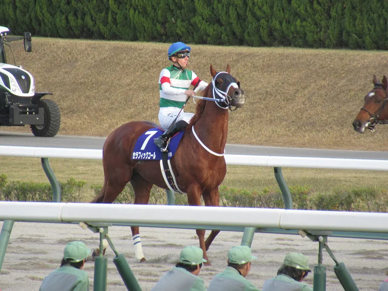 【ダイオライト記念2026予想】セラフィックコールの3連覇に挑戦する有力馬3頭を分析