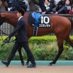 【JRA】フェブラリーS連覇コスタノヴァがゴドルフィンマイル辞退、次走はかしわ記念へ