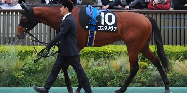 【JRA】フェブラリーS連覇コスタノヴァがゴドルフィンマイル辞退、次走はかしわ記念へ