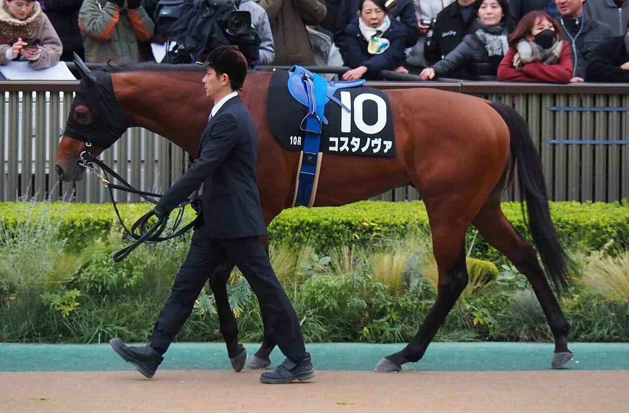 【JRA】フェブラリーS連覇コスタノヴァがゴドルフィンマイル辞退、次走はかしわ記念へ