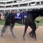 【愛知杯2026予想】牝馬限定なら上位、ドロップオブライトに好機到来