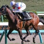 【JRA】マイユニバースが天皇賞春を回避、次走は宝塚記念へ照準