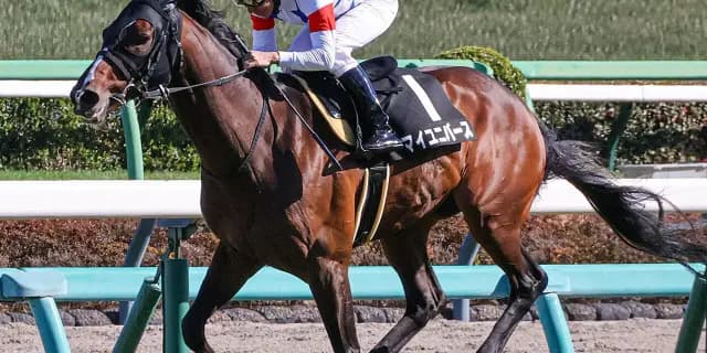【JRA】マイユニバースが天皇賞春を回避、次走は宝塚記念へ照準