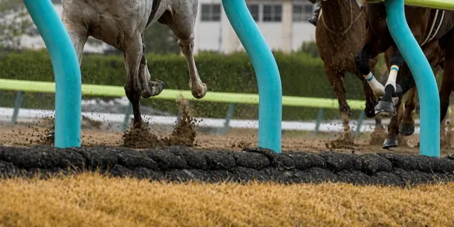 【ユニコーンステークス2026予想】最終追い切り・調教内容が高評価の馬3頭をピックアップ