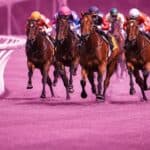 【阪神牝馬ステークス予想2026】ヴィクトリアマイルの前哨戦！エンブロイダリーやカムニャックなど出走予定馬を考察