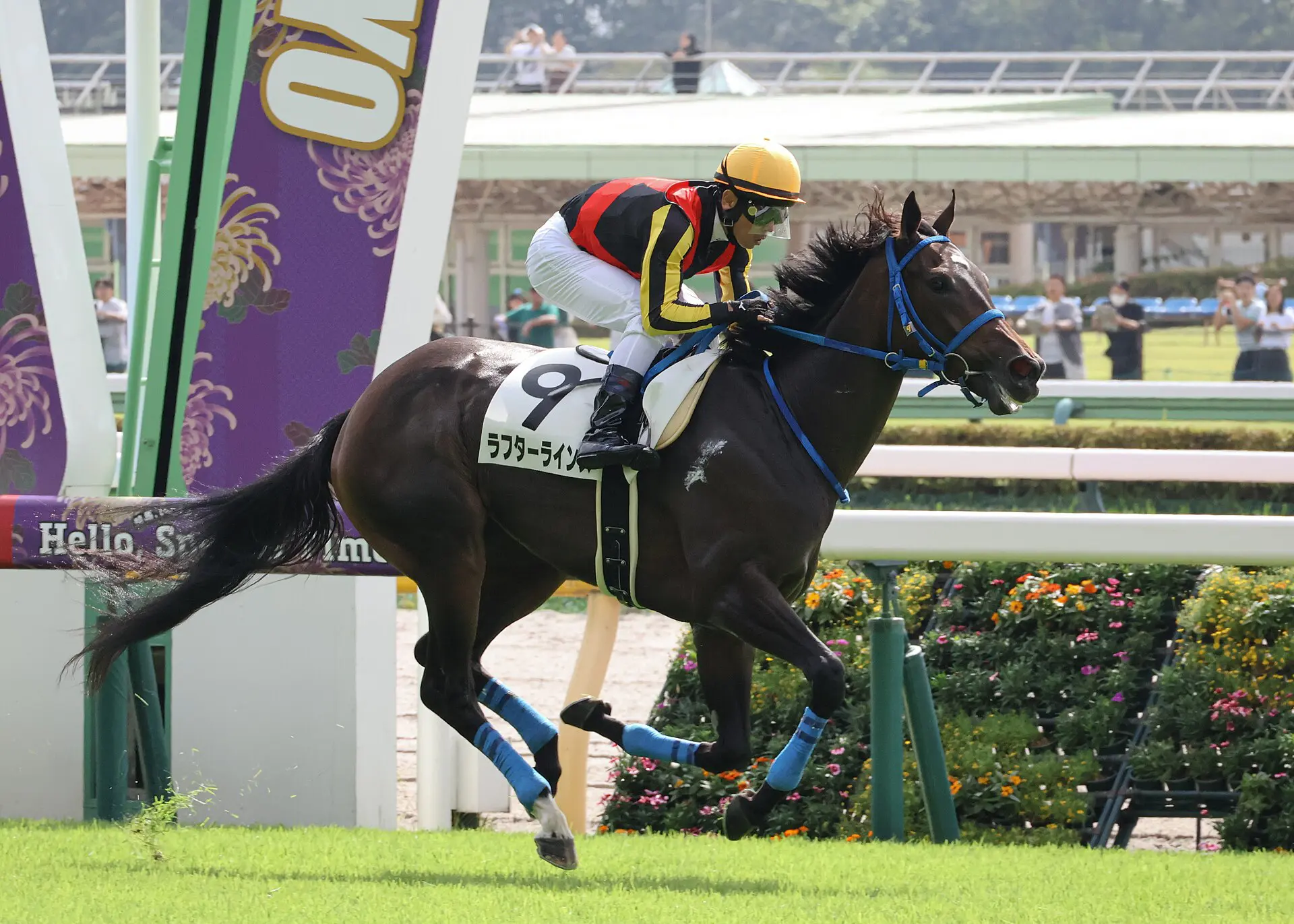【JRA】ラフターラインズはオークスへ、福島ノーザンファーム天栄へ放牧