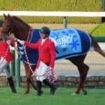 【2026桜花賞回顧】スターアニスがハイスピード決着を制す！