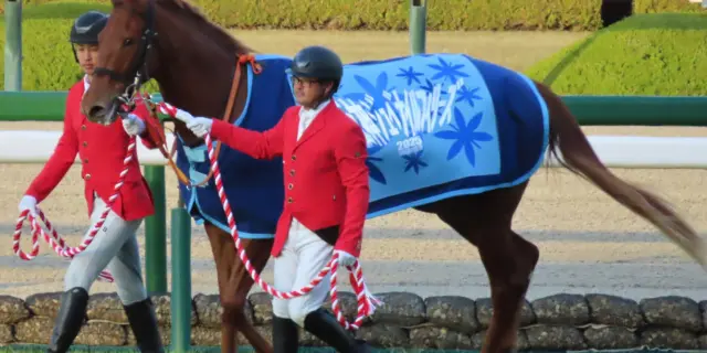 【2026桜花賞回顧】スターアニスがハイスピード決着を制す！