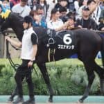 【マイラーズカップ2026予想】主役は京都巧者ブエナオンダ！得意舞台で条件好転