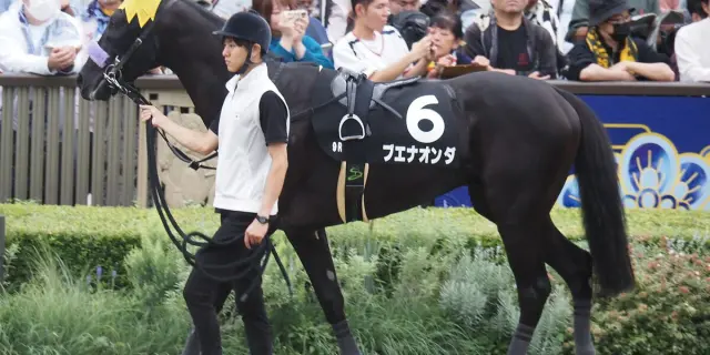 【マイラーズカップ2026予想】主役は京都巧者ブエナオンダ！得意舞台で条件好転