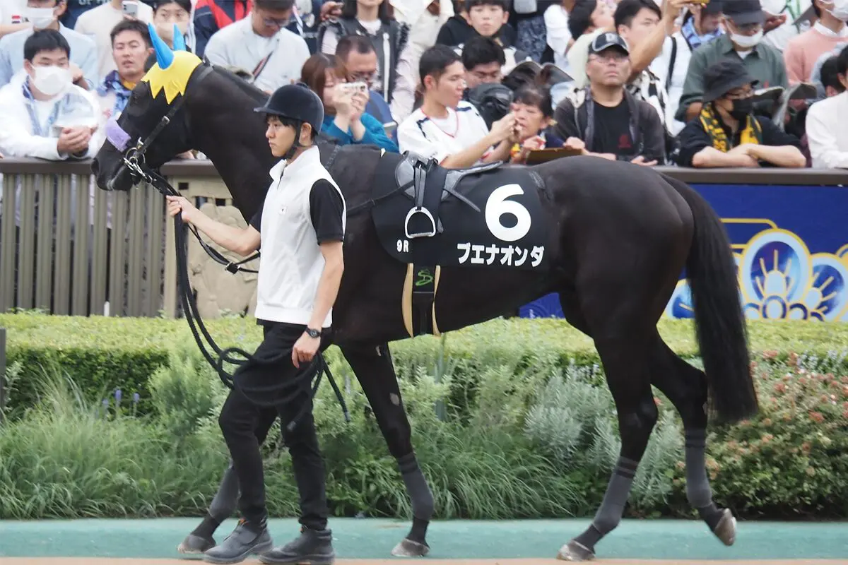 【マイラーズカップ2026予想】主役は京都巧者ブエナオンダ！得意舞台で条件好転