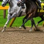 【天皇賞春2026予想】最終追い切り・調教内容が高評価の馬3頭をピックアップ