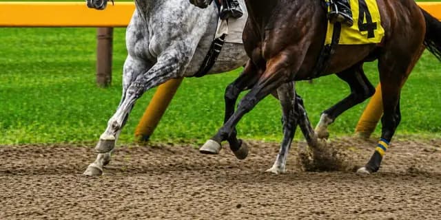 【天皇賞春2026予想】最終追い切り・調教内容が高評価の馬3頭をピックアップ