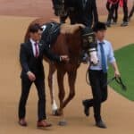 【NHKマイルC予想2026】ダイヤモンドノットが1週前追い切りで上昇ムード、福永祐一師を背に好時計