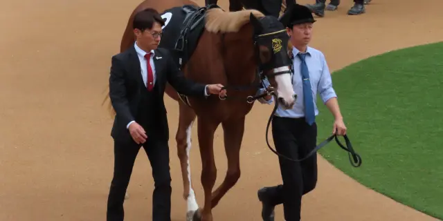 【NHKマイルC予想2026】ダイヤモンドノットが1週前追い切りで上昇ムード、福永祐一師を背に好時計