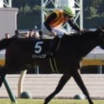 【桜花賞2026予想】ドリームコアが1週前追い切りで活気十分！心身ともに成長