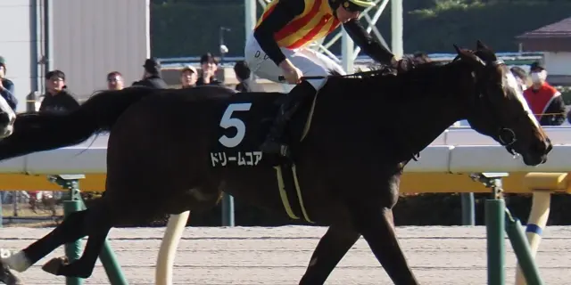 【桜花賞2026予想】ドリームコアが1週前追い切りで活気十分！心身ともに成長