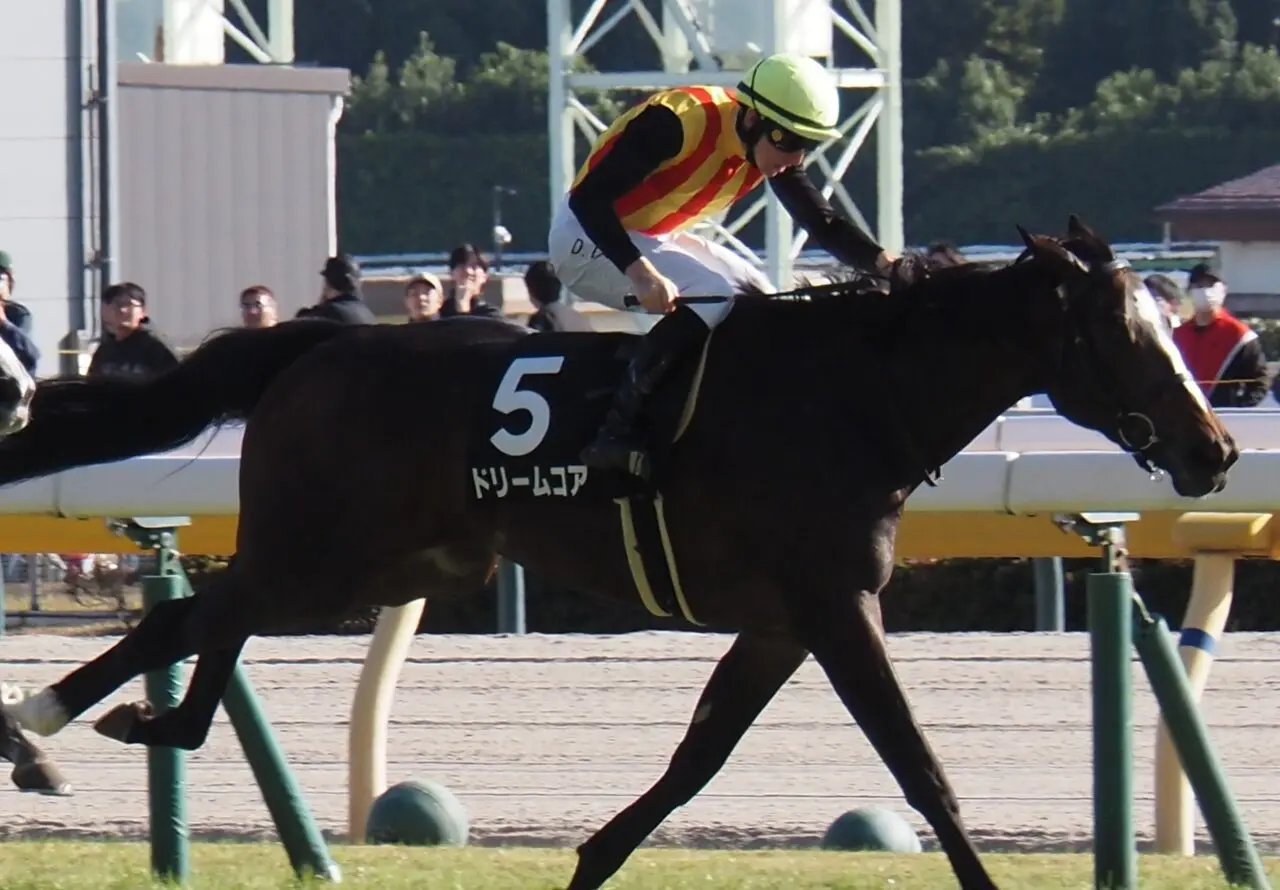 【桜花賞2026予想】ドリームコアが1週前追い切りで活気十分！心身ともに成長
