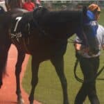 【東京スプリント2026予想】ファーンヒル4連勝なるか？地方の意地が試される一戦