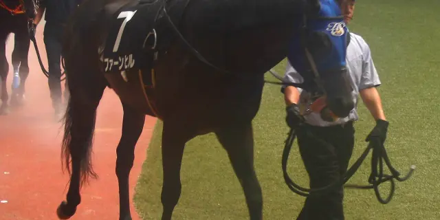 【東京スプリント2026予想】ファーンヒル4連勝なるか？地方の意地が試される一戦