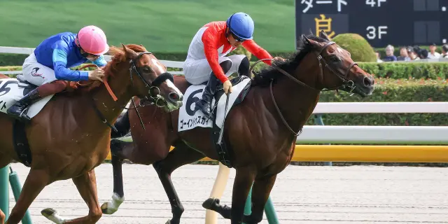 【日本ダービー2026】青葉賞覇者ゴーイントゥスカイ、武豊騎手との黄金タッグ継続