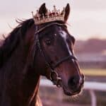 【桜花賞2026展望】2歳女王は3歳マイル女王となり得るか