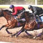 【皐月賞2026予想】グリーンエナジーが1週前追い切りでラスト1F10秒9の切れ味披露！