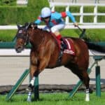 【ヴィクトリアマイル回顧】エンブロイダリー三冠目！人気馬による超高速決着