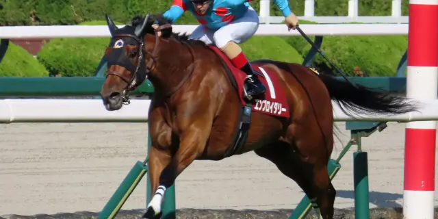 【ヴィクトリアマイル回顧】エンブロイダリー三冠目！人気馬による超高速決着