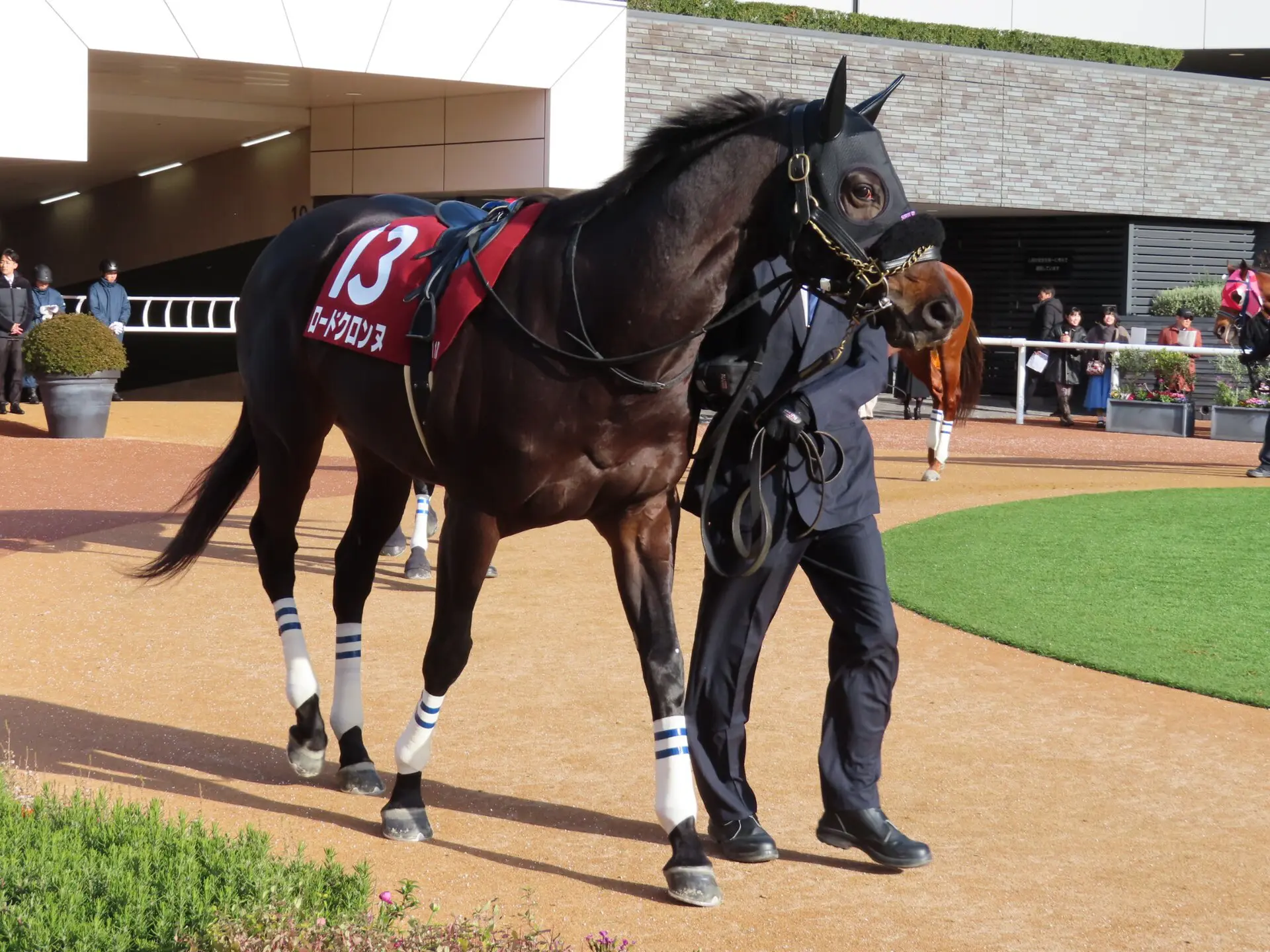 【平安ステークス2026展望】データは関西馬優勢も、関東の上がり馬が虎視眈々！「勢い」と「地力」に注目せよ