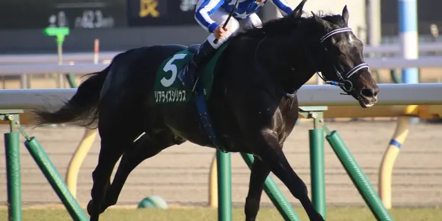 【日本ダービー2026】リアライズシリウスは危険な人気馬か？切れ味勝負では分が悪い