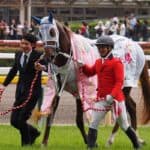 【オークス回顧】偉業達成！ジュウリョクピエロと果たしたJRA女性ジョッキー初戴冠！