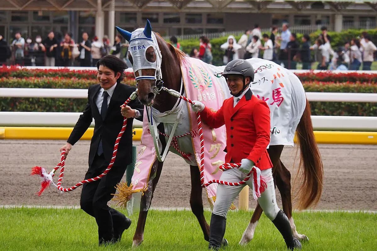 【オークス回顧】偉業達成！ジュウリョクピエロと果たしたJRA女性ジョッキー初戴冠！