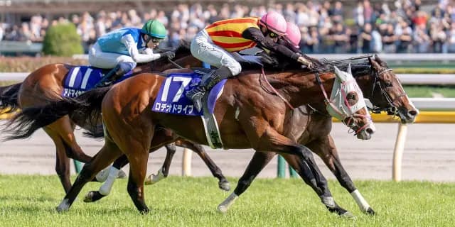 【NHKマイルカップ回顧】3歳マイルに新星登場！ロデオドライブは初の重賞勝利がG1に