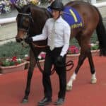 【京王杯スプリングC2026】狙い目は1400m巧者ワイドラトゥール、浮上の条件は揃った