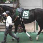 【安田記念2026予想】雨・外枠・東京、“勝利の方程式”が揃った穴馬セイウンハーデスへの信頼とその裏付け