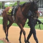 【府中牝馬S2026】1週前追い切りは文句なし、それでも残るセキトバイースト最大の課題を探る