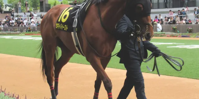 【府中牝馬S2026】1週前追い切りは文句なし、それでも残るセキトバイースト最大の課題を探る
