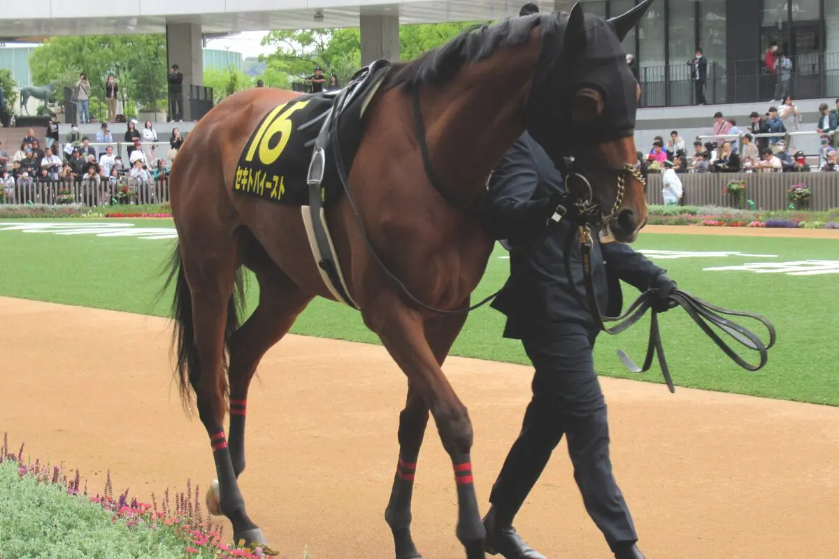 【府中牝馬S2026】連覇か世代交代か？昨年覇者セキトバイーストに迫る新勢力を徹底分析