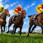 【アイビスサマーダッシュ2026予想】1週前から最終追い切りまで徹底チェック！状態面で一歩リードする3頭とは？